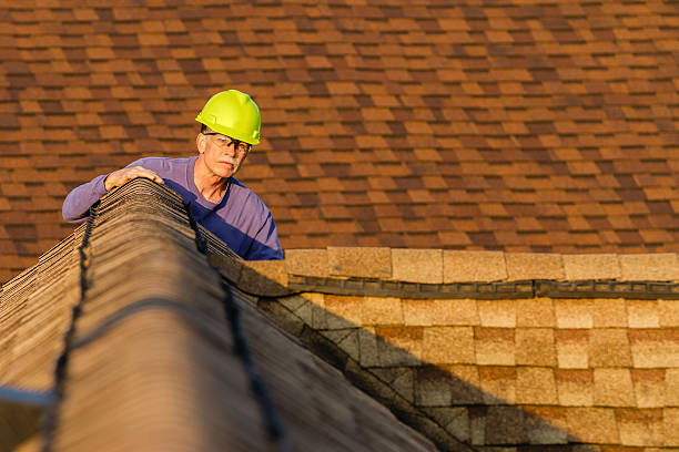 Best Storm Damage Roof Repair  in Naples Park, FL